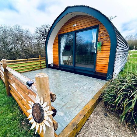 Beech Pod Cabin In Beautiful Surroundings Рексем Экстерьер фото